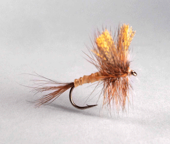 MARCH BROWN WESTERN - Hill's Discount Flies