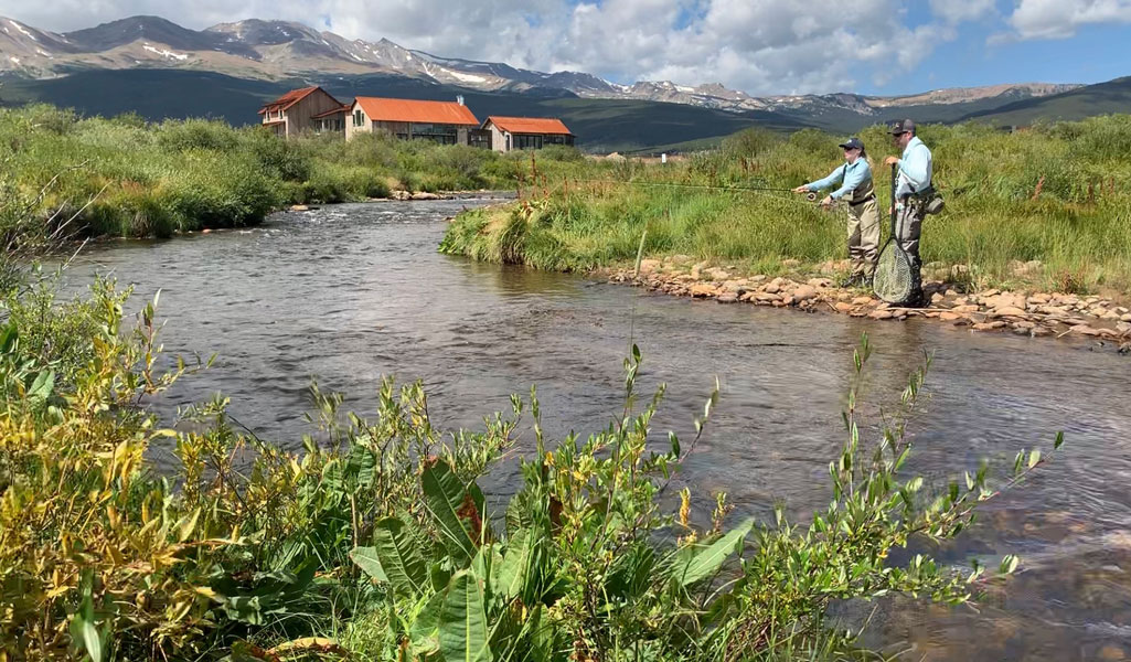 fly fishing Auctions Prices