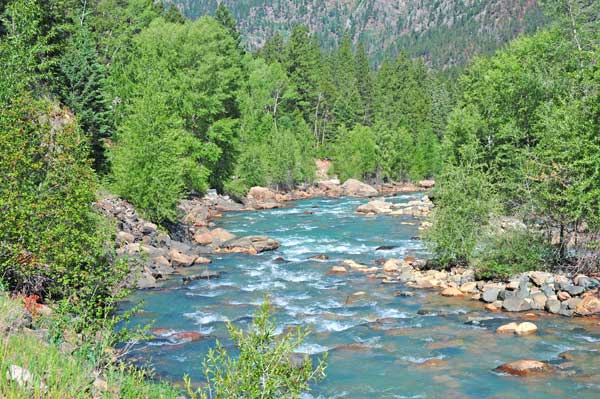 colorado river available for those who purchase a fishing license