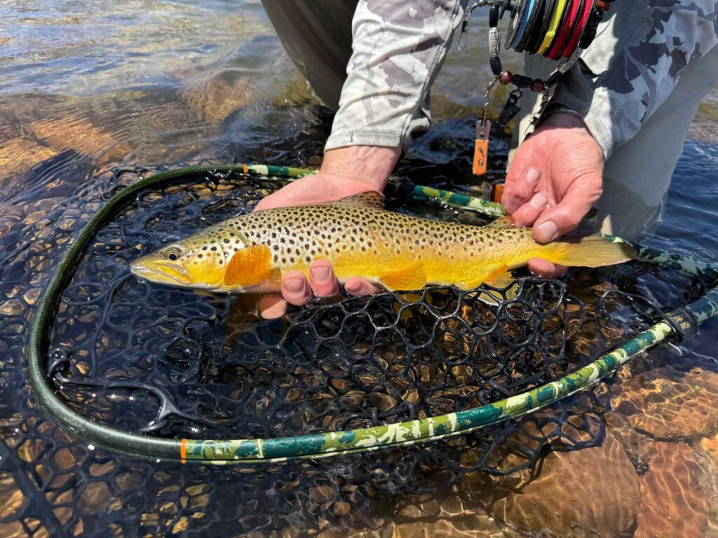 fly fishing eagle river - Eagle River Outfitter
